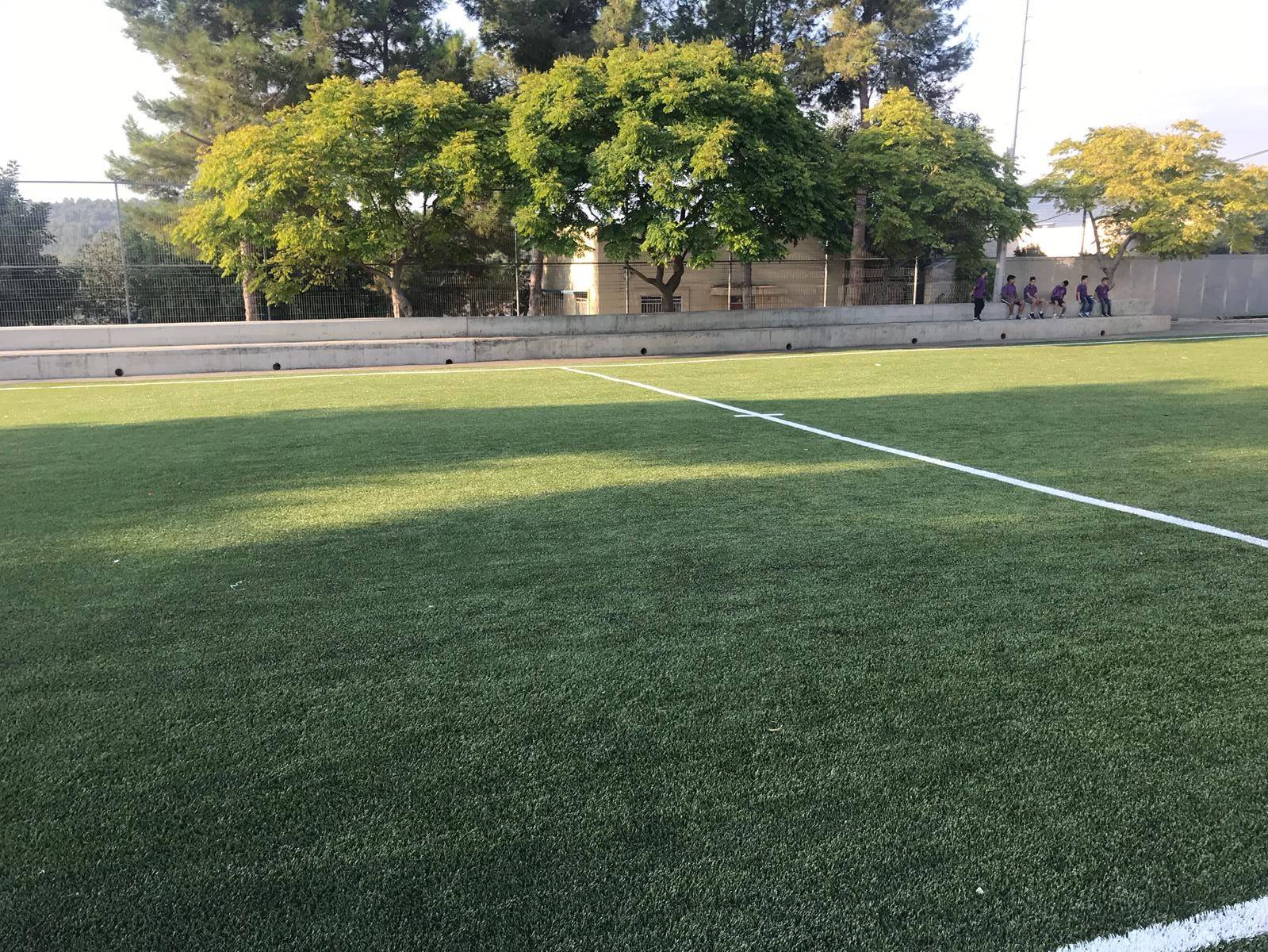 דשא סינטטי למגרש קטרגל